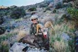 Big Horn Sheep hunt